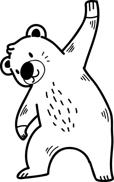 北极熊,哺乳纲,动物身体部位