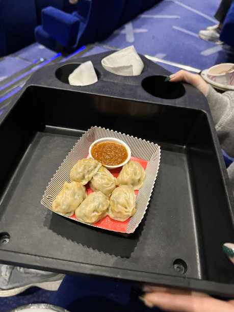 馄饨高清特写