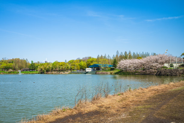 湿地展示