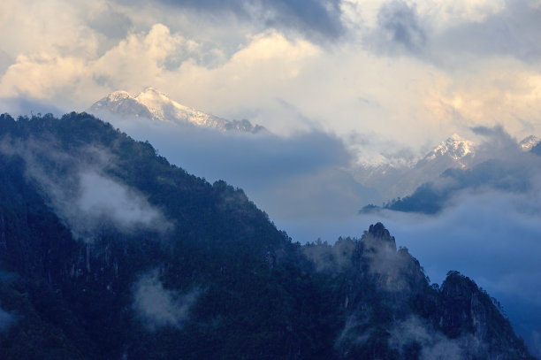 西藏,山谷,云雾,雪山,森林