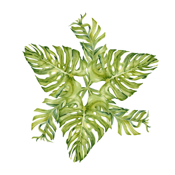 热带植物logo