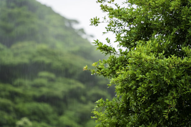 五月风暴