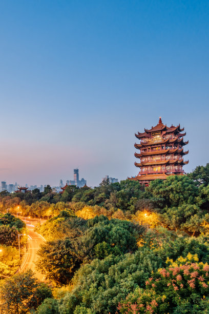 武汉城市夜景全景图