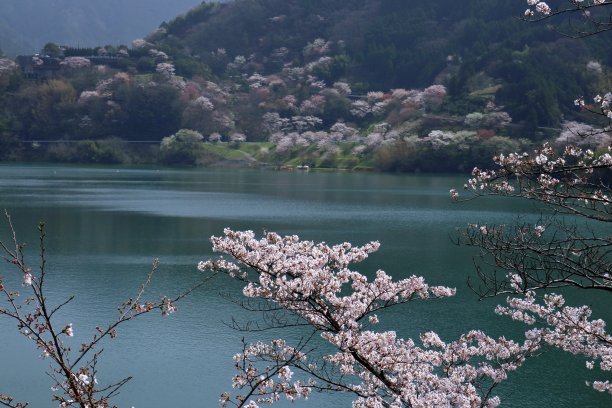 秀美山湖