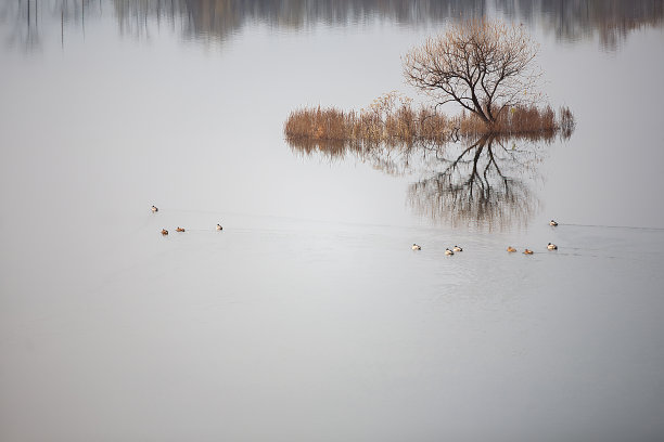 早冬湖边霜冻的美景