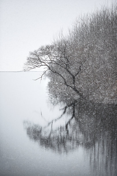 早冬湖边霜冻的美景