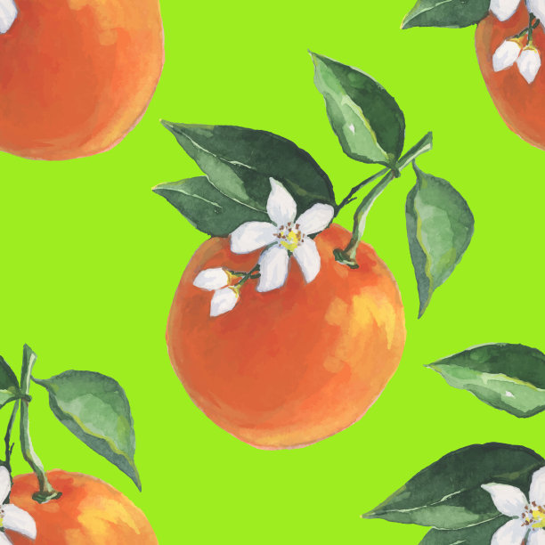 橙子图案 夏季水果图案 印花