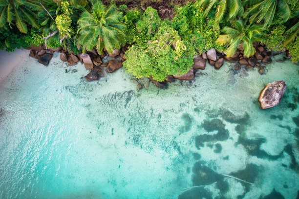 航拍海岛丛林风景