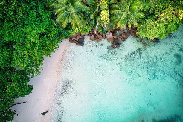 航拍海岛丛林风景