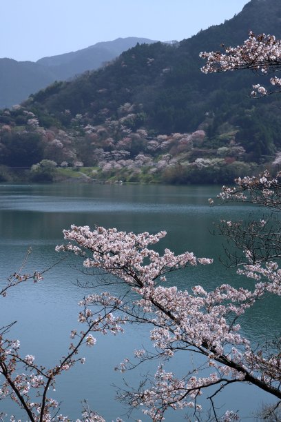 秀美山湖