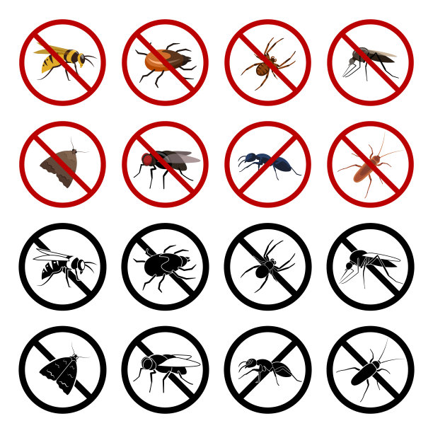 野生动物,甲虫,保护