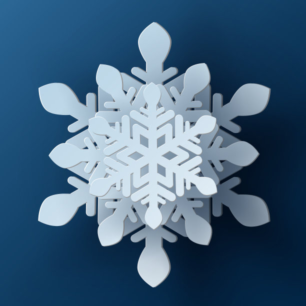 大雪logo图片