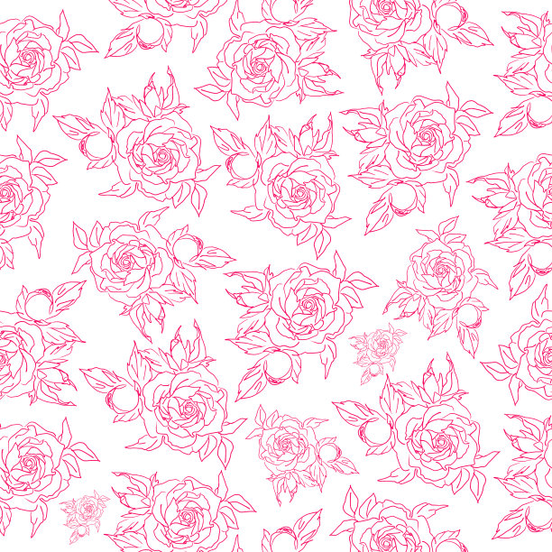 白玫瑰植物插画设计素材
