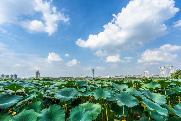 南京城市地标性建筑图