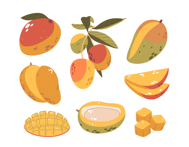 热带芒果插图