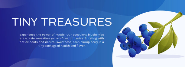 有机蓝莓包装设计
