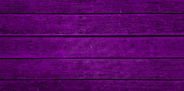 紫色科技背景板