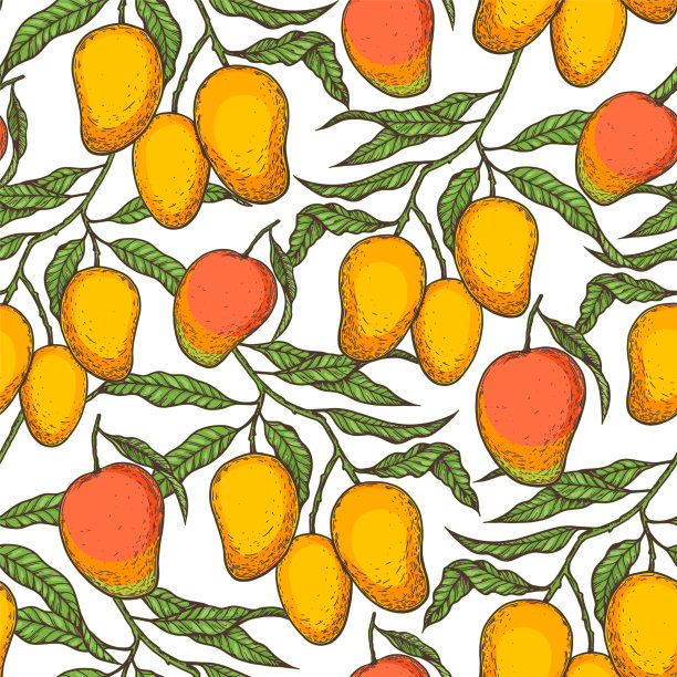 芒果和芒果树