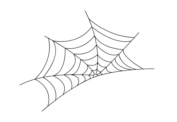 矢量蜘蛛插图