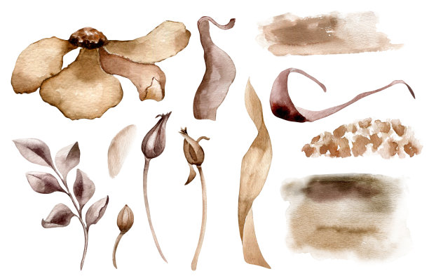 棕色植物抽象插图