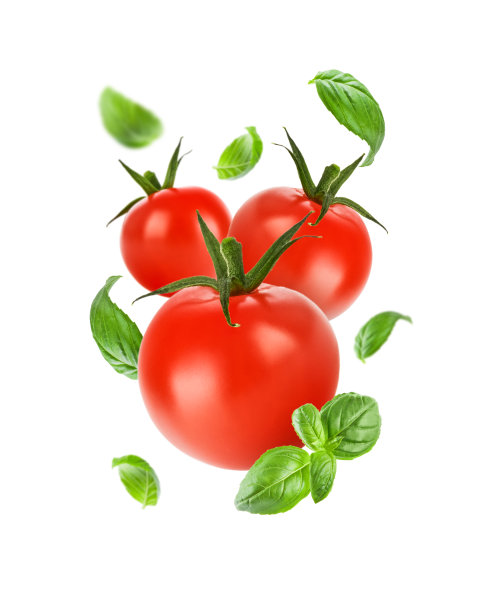 西红柿 蕃茄汁图片