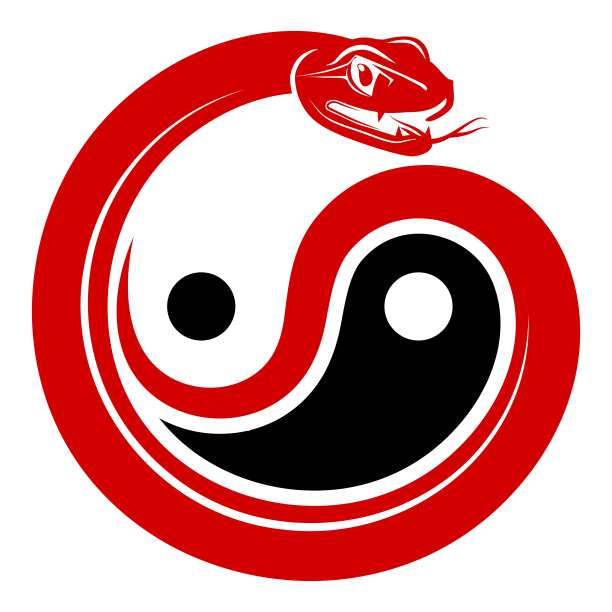 汉字顺logo