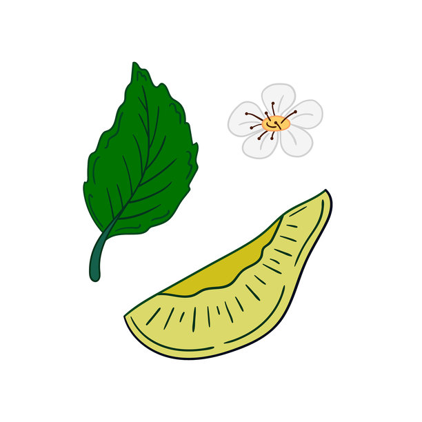 農(nóng)業(yè),紡織品,畫(huà)畫(huà)