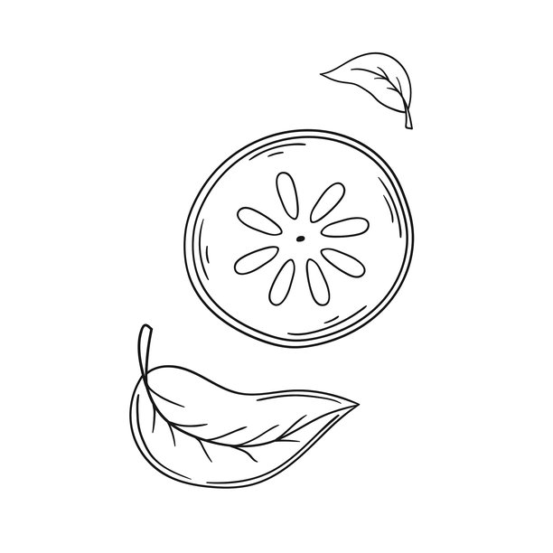 柿子,果樹,柿子樹