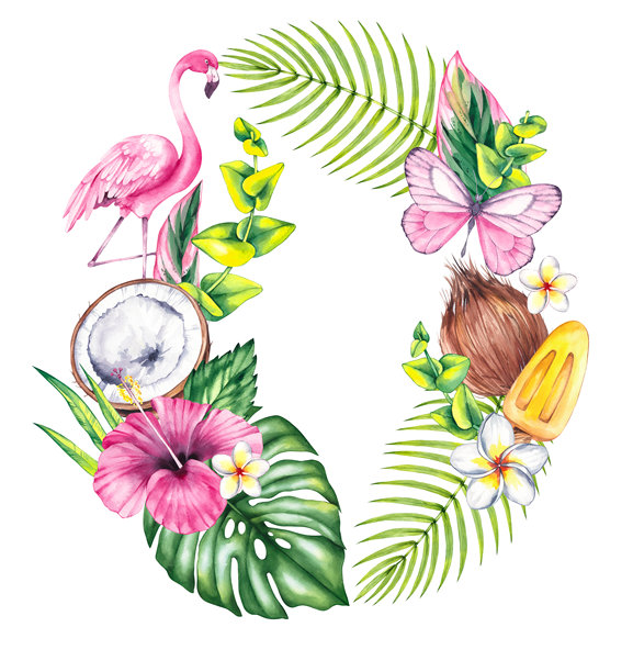 垂直畫幅,4K分辨率,圖像