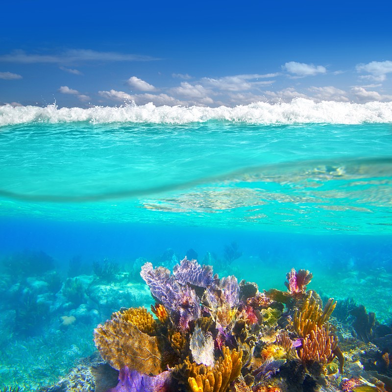 水下,礁石,马雅里维耶拉,潮汐,正下方视角,水,平视角,夏天,异国情调
