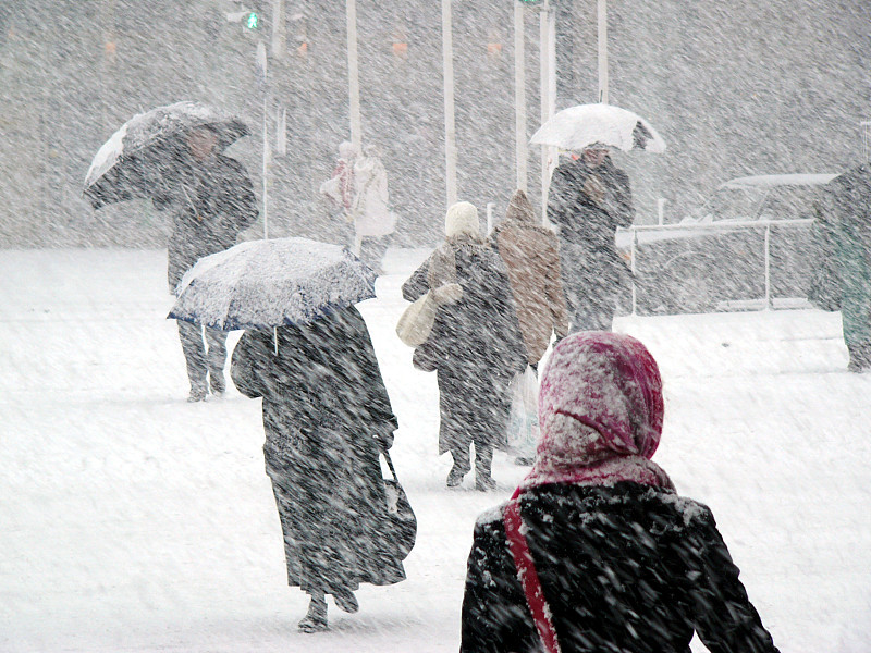大风雪,暴风雨,赫尔辛基,寒冷,天气,芬兰,人,冻结的,雪,伞