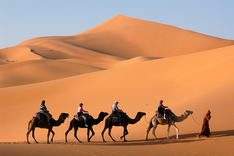 撒哈拉沙漠,驼队,骆驼,摩洛哥,erg,chebbi,dunes,沙漠,单峰骆驼,水平画幅,沙子,旅行者