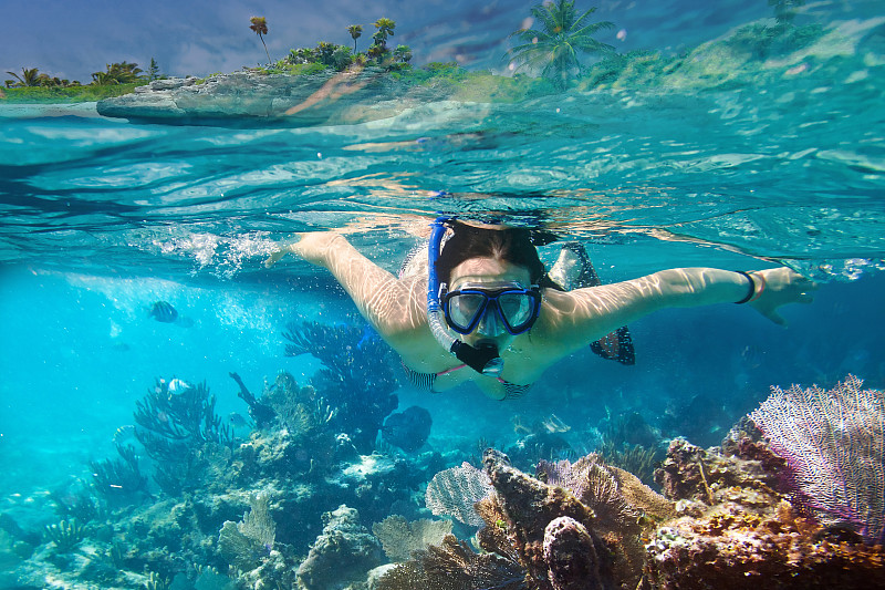 浮潜,加勒比海,水,美,休闲活动,水平画幅,防护面罩,美人,水下,夏天