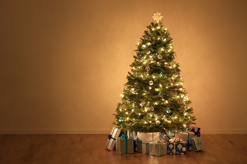 在下面,礼物,花旗松,圣诞树,起居室,圣诞礼物,留白,水平画幅,无人