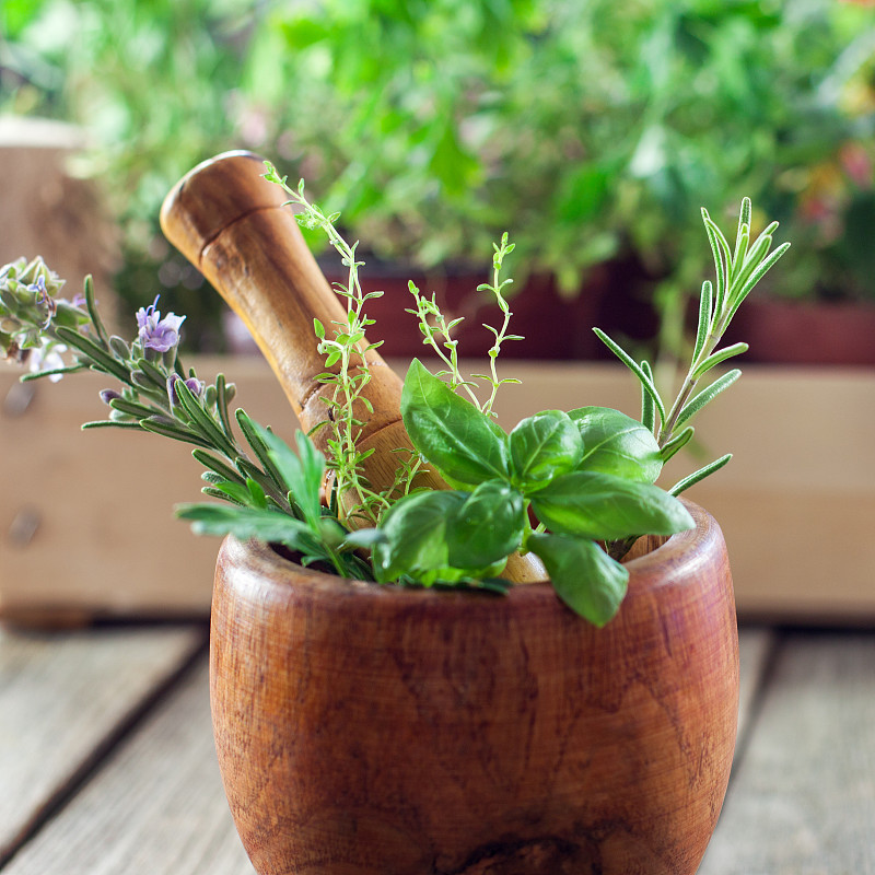 清新,草本,柠檬百里香,替代医药,留白,芳香的,素食,无人,研磨器,组物体