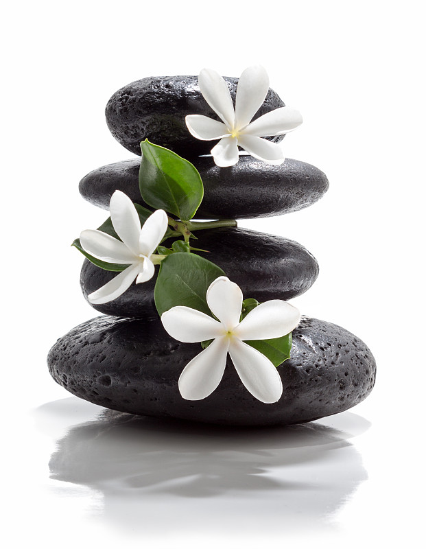 仅一朵花,白色,垂直画幅,禅宗,栀子花,井,石材,石头,按摩