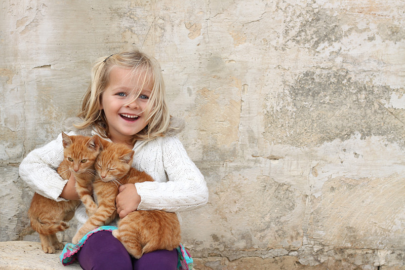 小猫,女孩,拿着,可爱的,姜黄色的猫,猫,宠物,动物,嬉戏的,留白