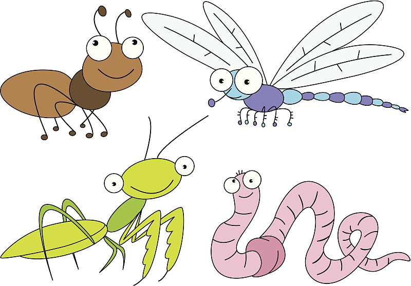昆虫,四只动物,绘画插图,艺术,海马,符号,蚂蚁,动物身体部位,爬