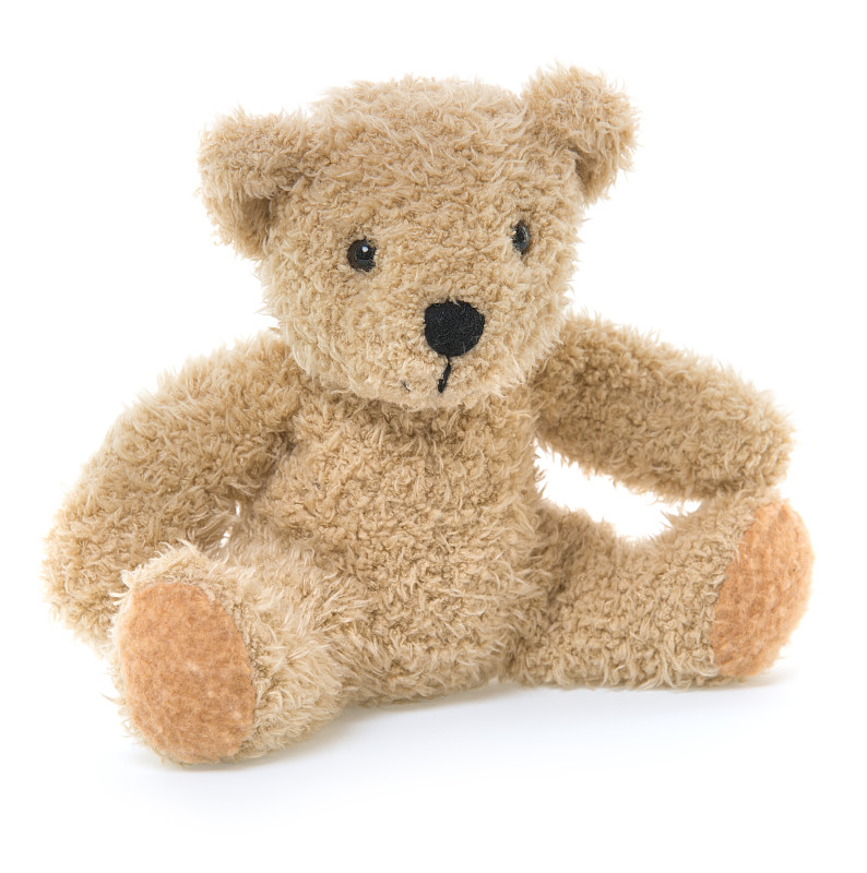 熊,玩具,分离着色,白色,泰迪熊,动物玩具,棕熊,垂直画幅,正面视角,毛绒玩具