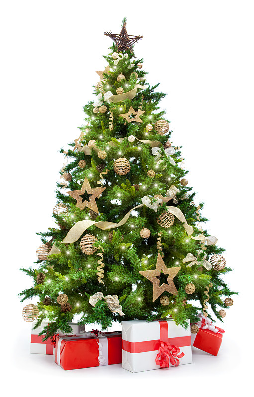 圣诞树,礼物,分离着色,白色,背景分离,白色背景,绿色,自然,垂直画幅
