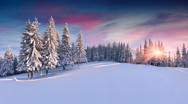 风景,山,冬天,大风雪,杉树,小路,树林,地形,森林,雪