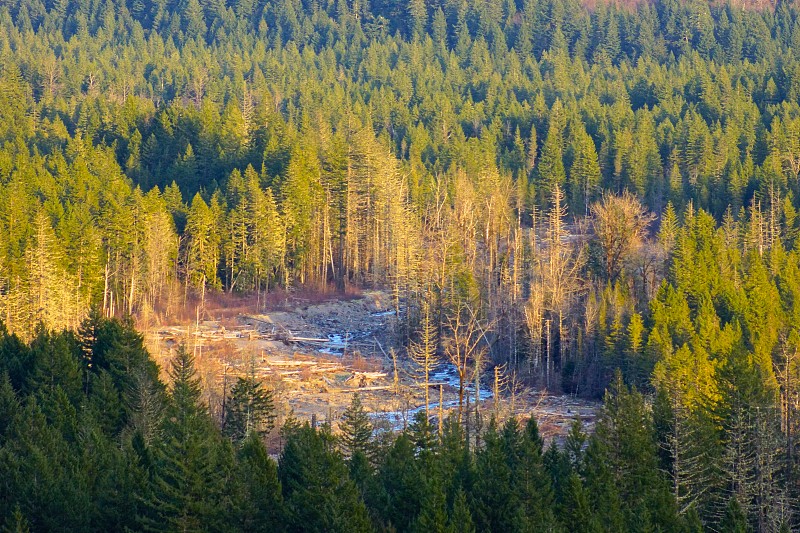 之字形,羽冠山国家森林,卡斯基德山脉,俄勒冈州,俄勒冈郡,自然荒野区,水平画幅,无人,2015年,风景