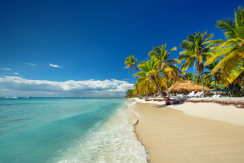 棕榈树,海滩,鸡尾酒,多米尼加共和国,加勒比海,加勒比海地区,天堂,岛,波浪,热带气候