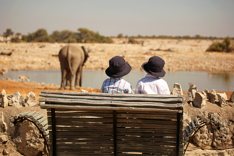 纳米比亚,水洞湖,象,埃托沙国家公园,儿女,藤织帽,非洲,阔边遮阳帽,双胞胎,非洲象