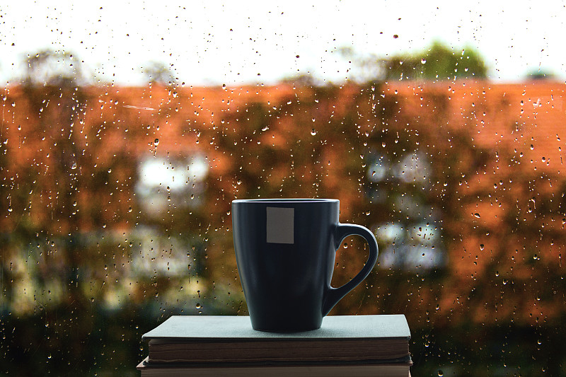 咖啡,书,雨,秋天,窗户,精装书,外立面,水平画幅,无人,玻璃