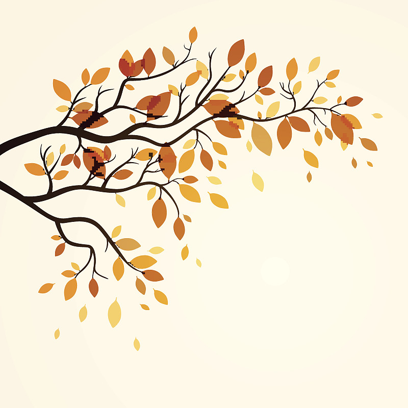 矢量,式样,秋天,风,气候,九月,绘画插图,户外,树林,植物