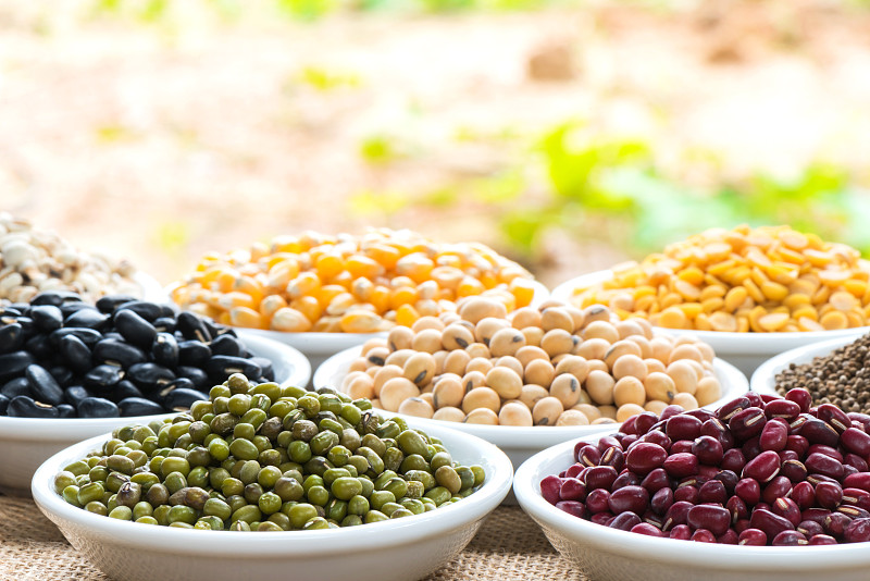 豆,彩色图片,青豆,豆科植物,斑豆,藜麦,绿豆,鹰嘴豆,扁豆,水平画幅