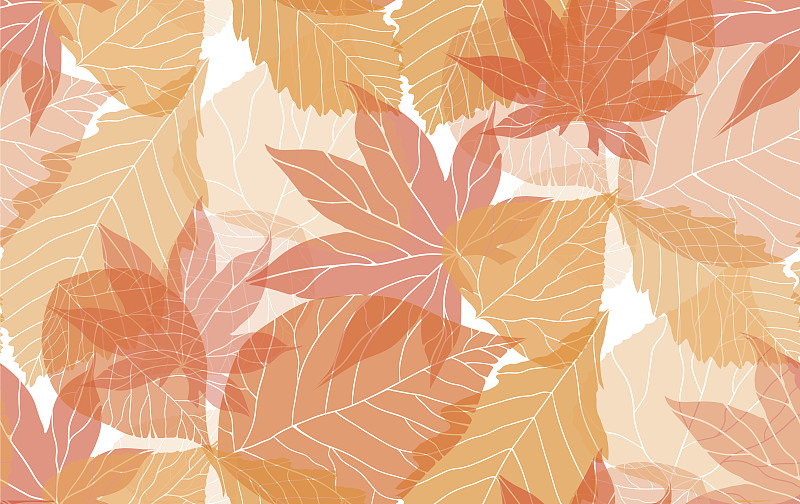 秋天,式样,叶子,十月,十一月,欧锻树,四方连续纹样,矢量,九月,华丽的