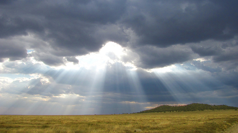 乌云,坦桑尼亚裂谷,层云,微下击暴流,gol,kopjes,积雨云,阳光光束,雨,大平原,阿鲁沙地区