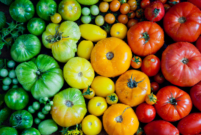 西红柿,素食,清新,多汁的,plum,tomato,heirloom,tomato,绿色,橙色,有机食品